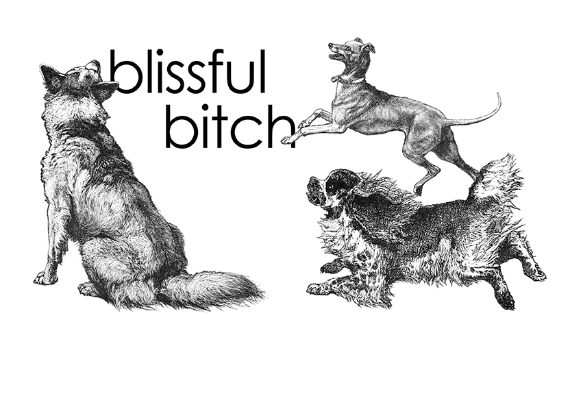 the blissful bitch homepage artwork drawing with three dogs playing